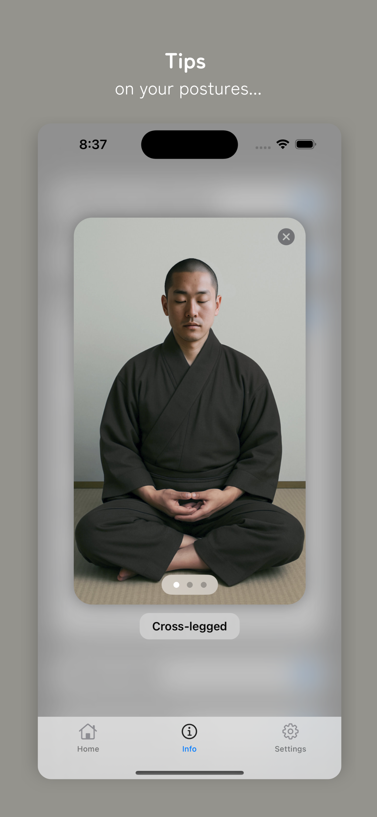 IamZen posture guidance screen